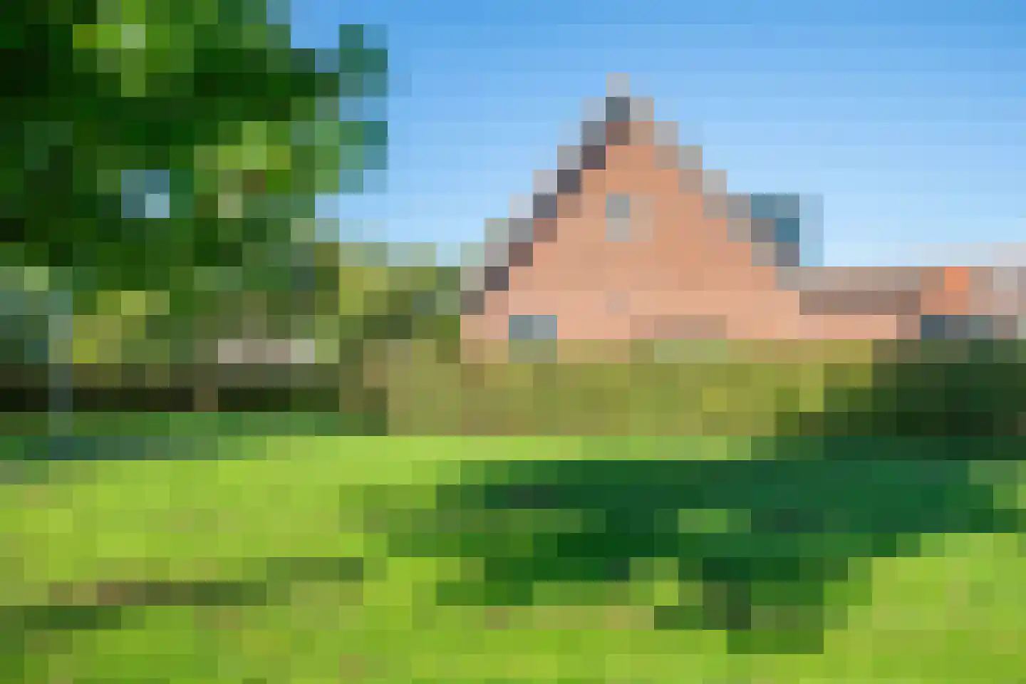 Johannes Vermeerstraat 6 Kesteren thumbnail 60
