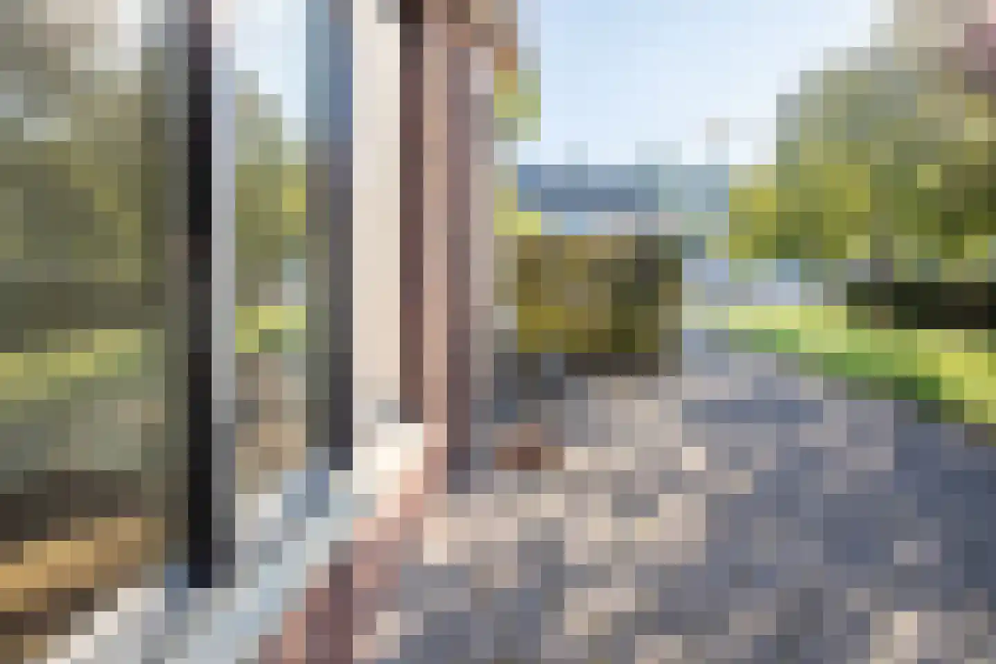 Johannes Vermeerstraat 6 Kesteren thumbnail 63
