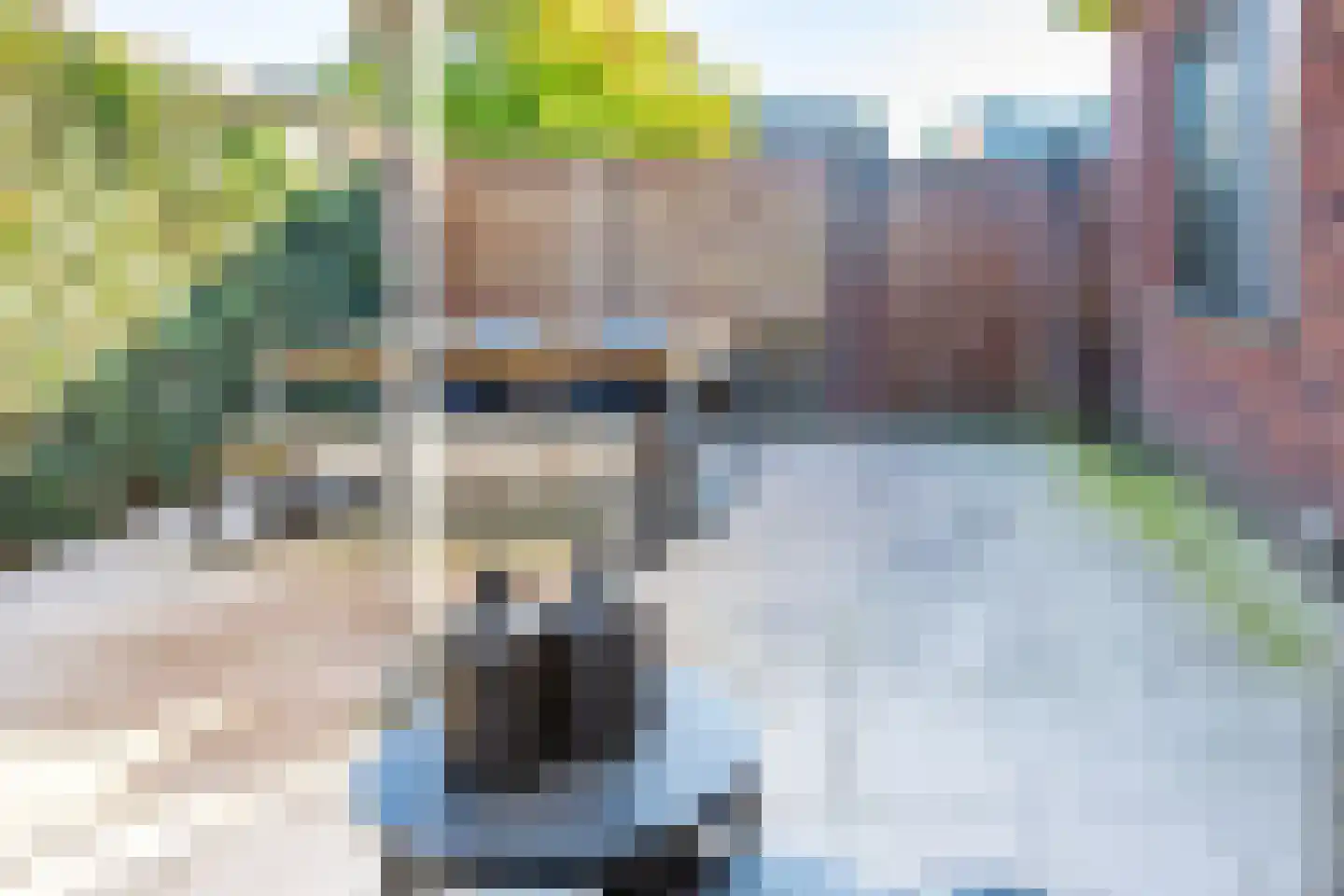 Johannes Vermeerstraat 6 Kesteren thumbnail 80