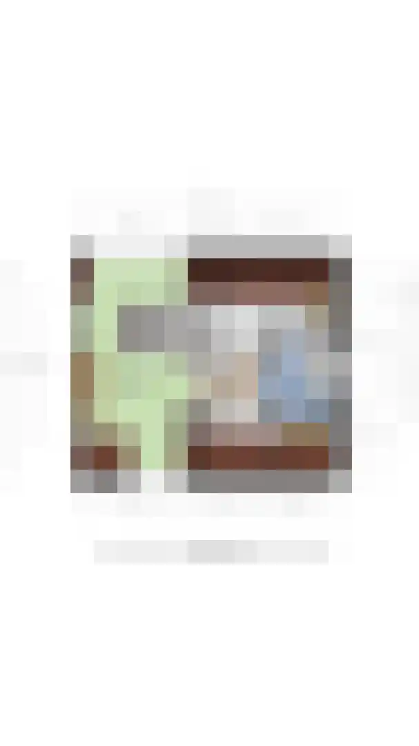 Johannes Vermeerstraat 6 Kesteren thumbnail 83