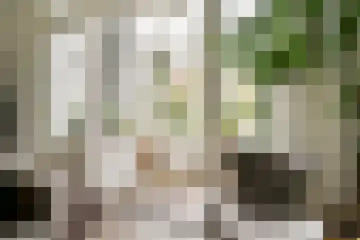 Johannes Vermeerstraat 67 2 Amsterdam thumbnail 9