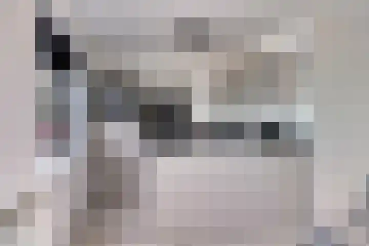 Johannes Vermeerstraat 8 Hoogezand thumbnail 13