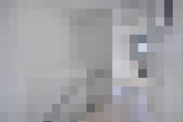Johannes Vermeerstraat 8 Hoogezand thumbnail 18