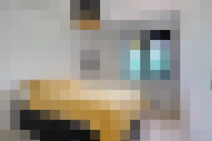 Johannes Vermeerstraat 8 Hoogezand thumbnail 20