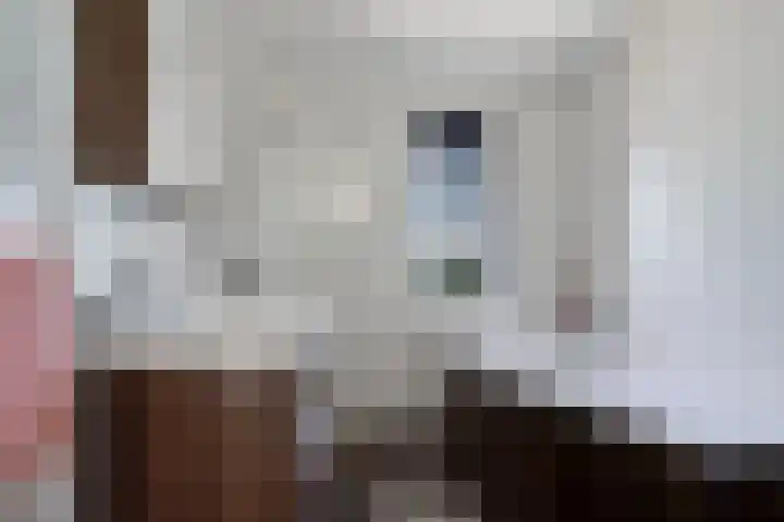 Johannes Vermeerstraat 8 Hoogezand thumbnail 25