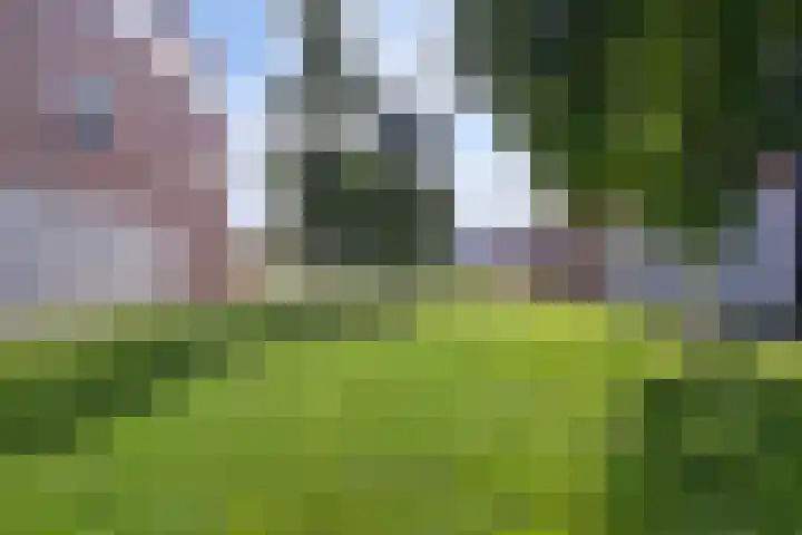 Johannes Vermeerstraat 8 Hoogezand thumbnail 43