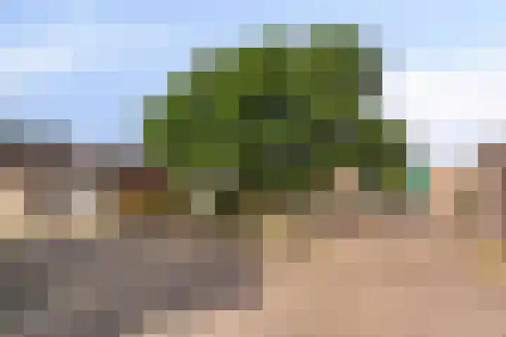 Johannes Vermeerstraat 8 Hoogezand thumbnail 48
