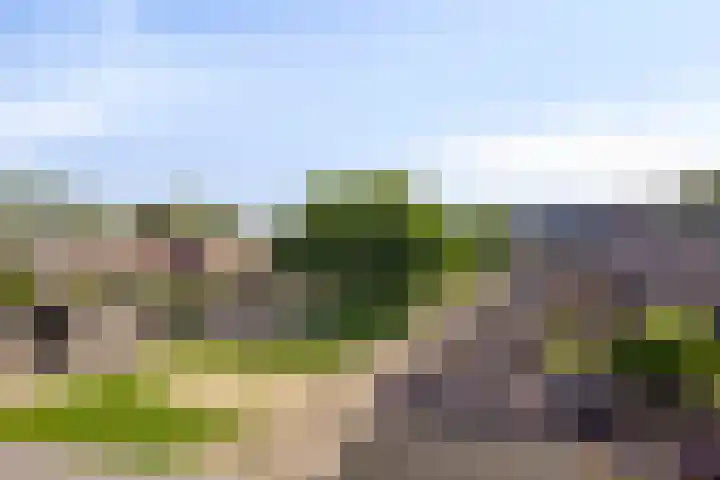 Johannes Vermeerstraat 8 Hoogezand thumbnail 50