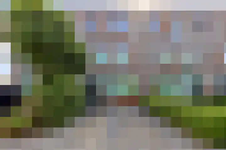 Johannes Vermeerstraat 8 Hoogezand thumbnail 55