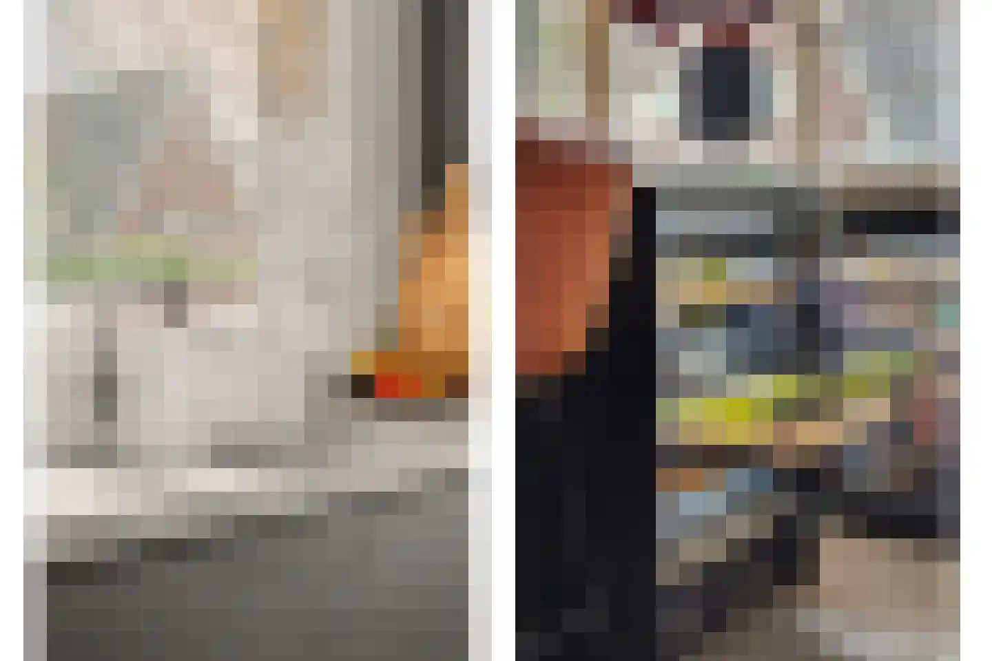 Johannes Vermeerstraat 8 Raamsdonksveer thumbnail 11