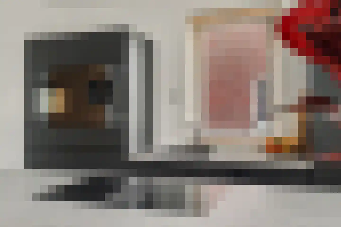 Johannes Vermeerstraat 8 Raamsdonksveer thumbnail 12
