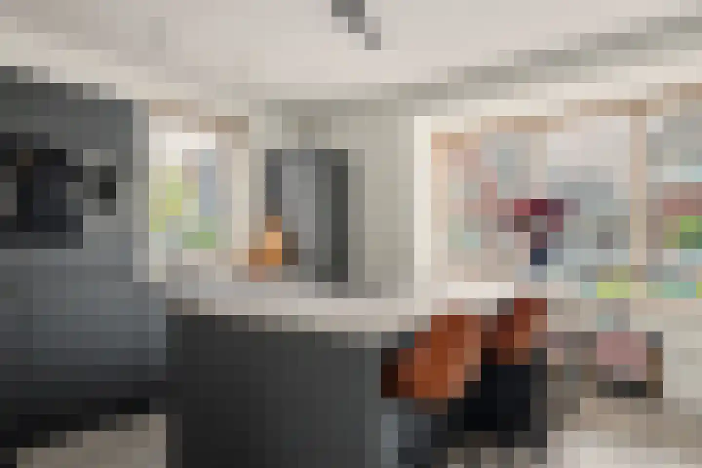 Johannes Vermeerstraat 8 Raamsdonksveer thumbnail 15