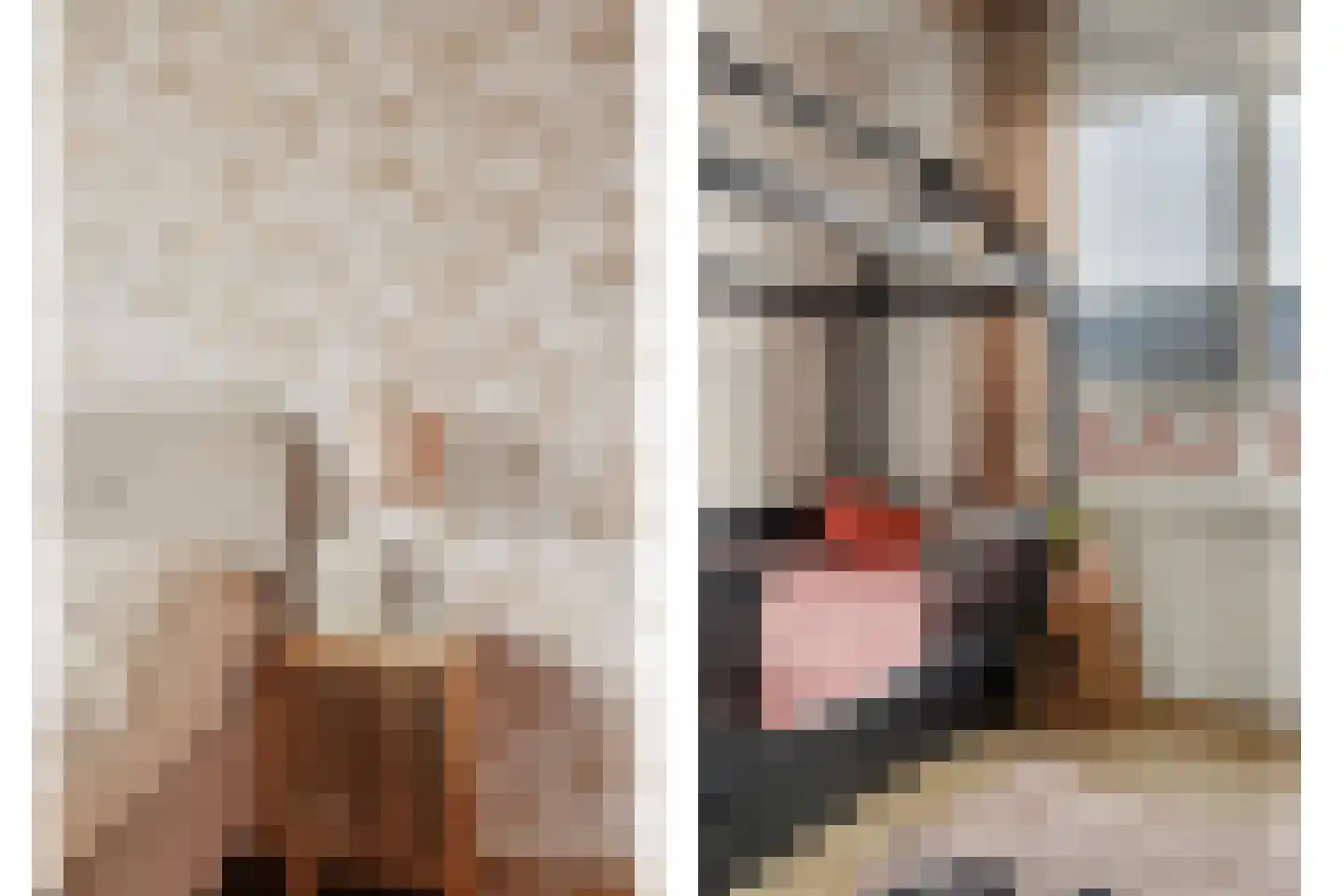 Johannes Vermeerstraat 8 Raamsdonksveer thumbnail 23
