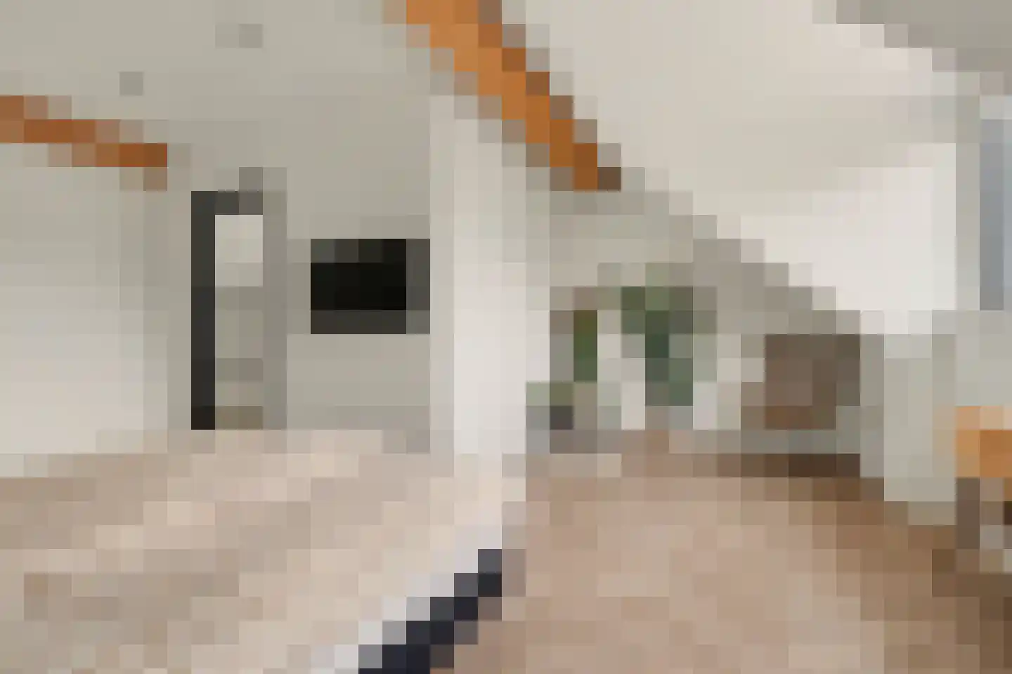 Johannes Vermeerstraat 8 Raamsdonksveer thumbnail 28