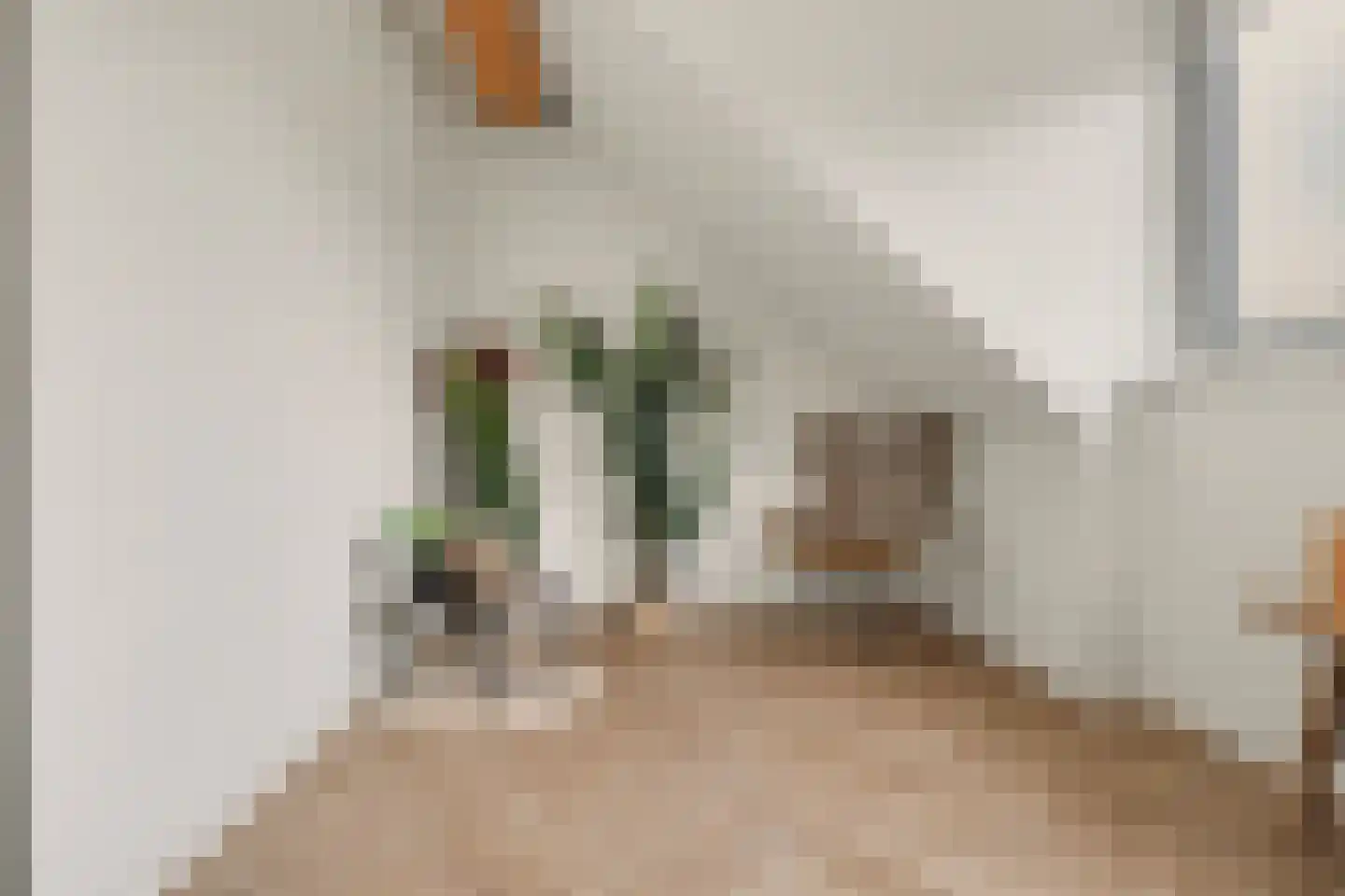 Johannes Vermeerstraat 8 Raamsdonksveer thumbnail 30