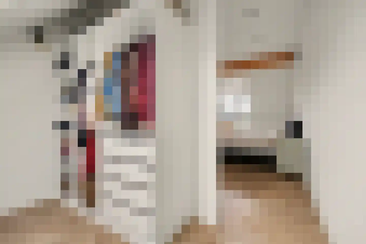 Johannes Vermeerstraat 8 Raamsdonksveer thumbnail 32