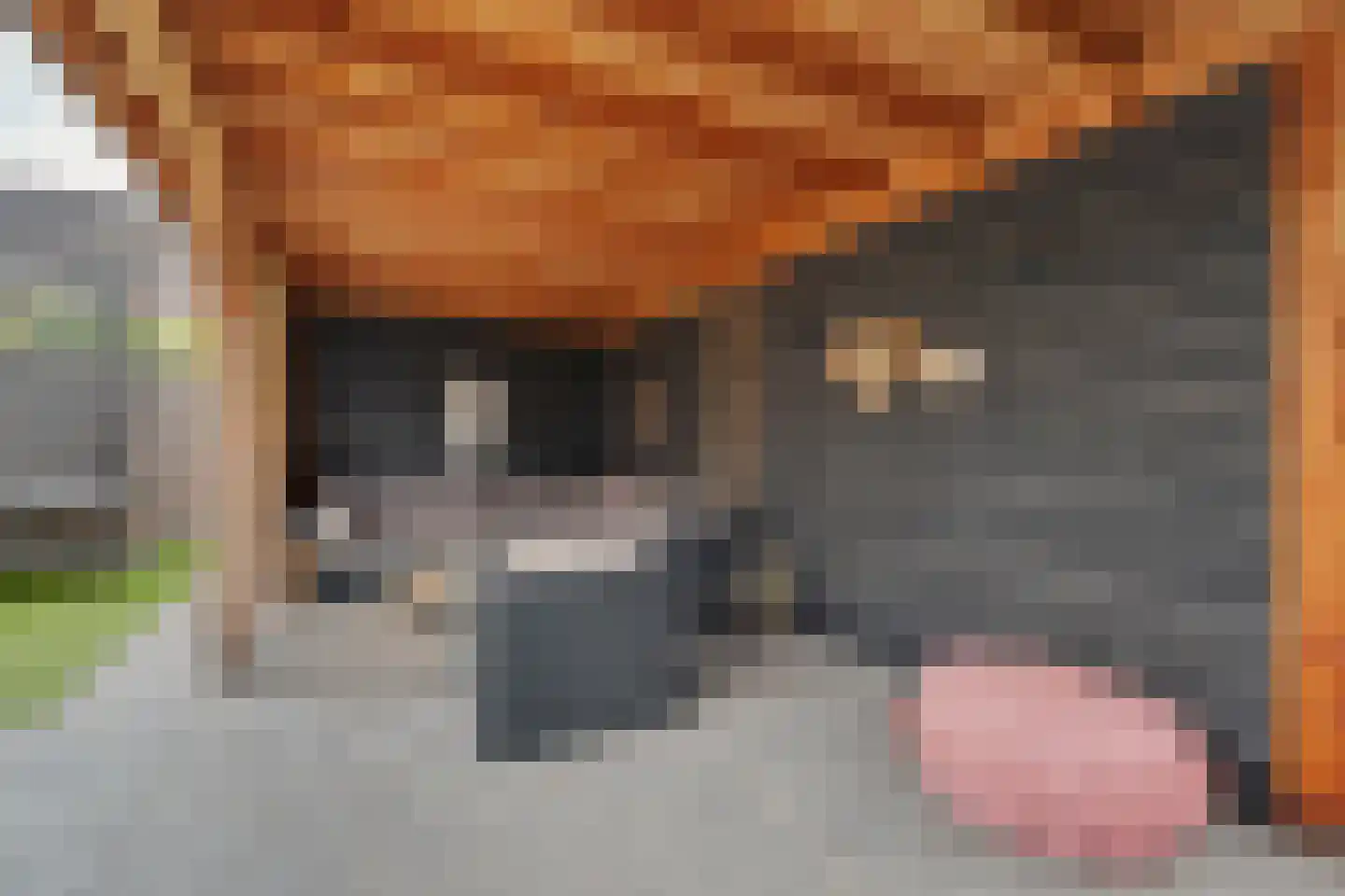 Johannes Vermeerstraat 8 Raamsdonksveer thumbnail 36