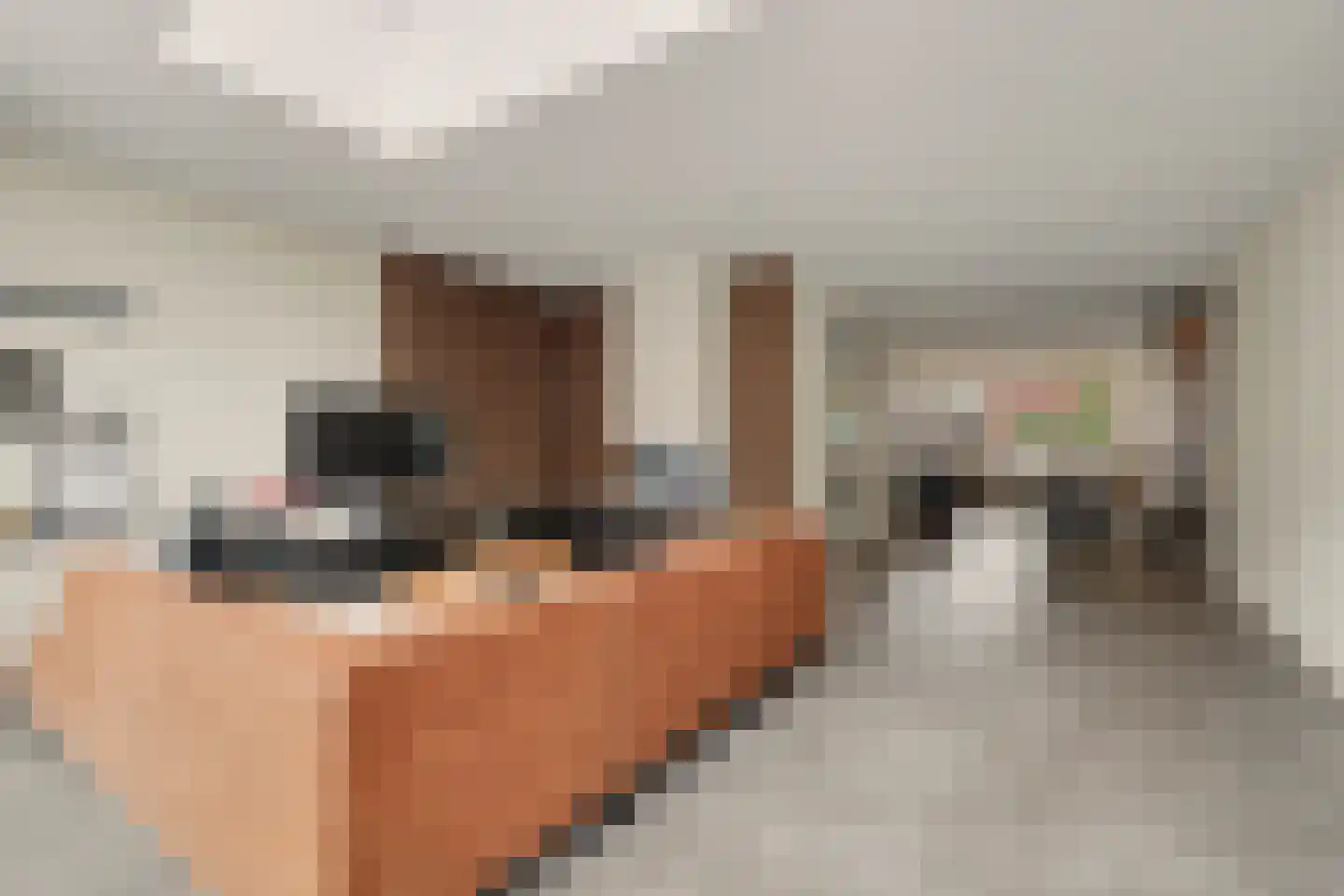 Johannes Vermeerstraat 8 Raamsdonksveer thumbnail 5