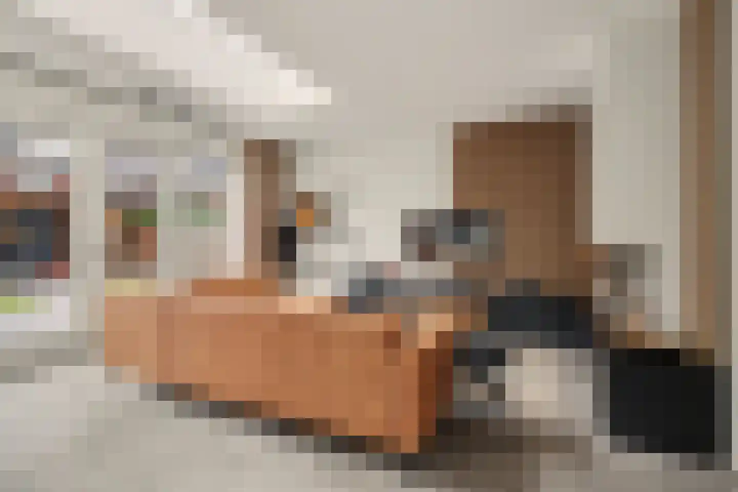 Johannes Vermeerstraat 8 Raamsdonksveer thumbnail 7