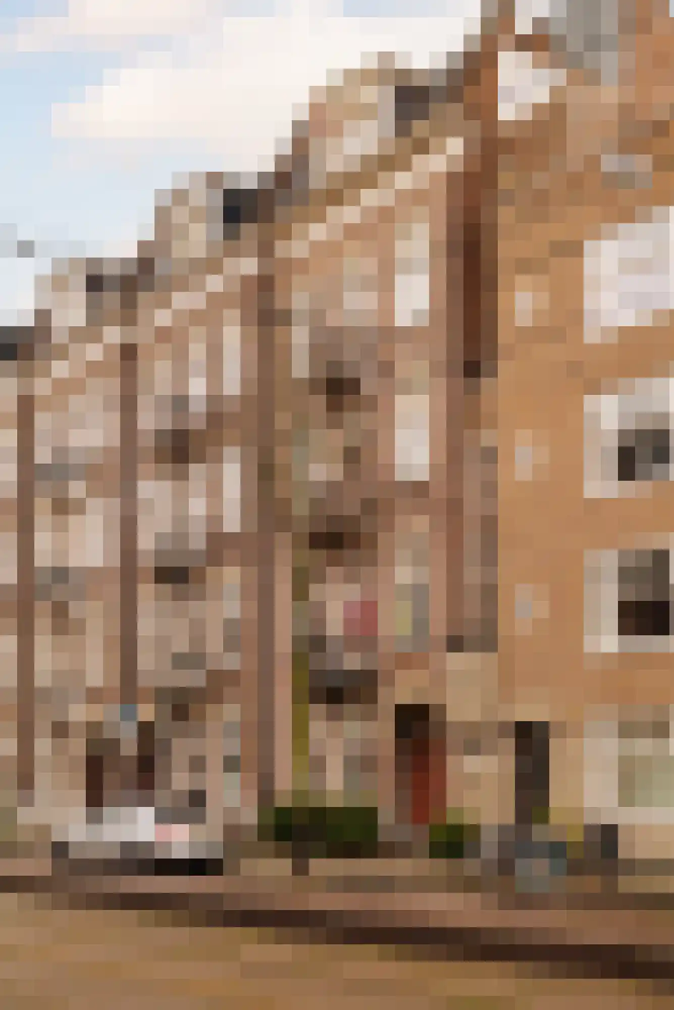 Johannes Vermeerstraat 81 2 Amsterdam thumbnail 21