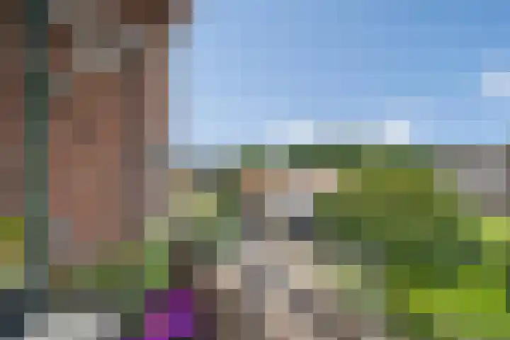 Johannes Vermeerstraat 81 Coevorden thumbnail 18