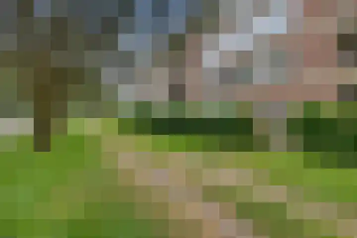 Johannes Vermeerstraat 81 Coevorden thumbnail 4