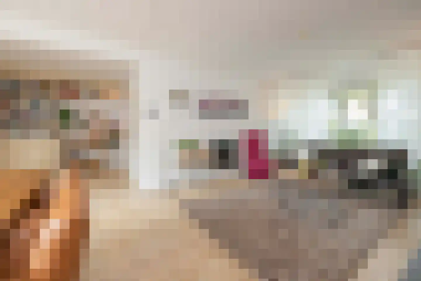 Johannes Vermeerstraat 9 Oisterwijk thumbnail 10