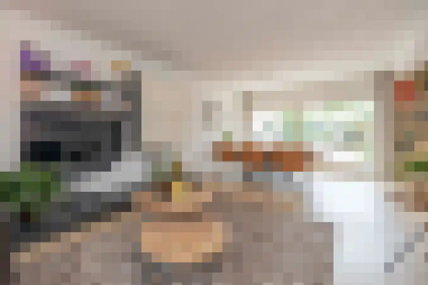 Johannes Vermeerstraat 9 Oisterwijk thumbnail 11