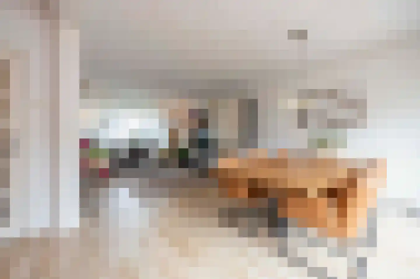 Johannes Vermeerstraat 9 Oisterwijk thumbnail 12