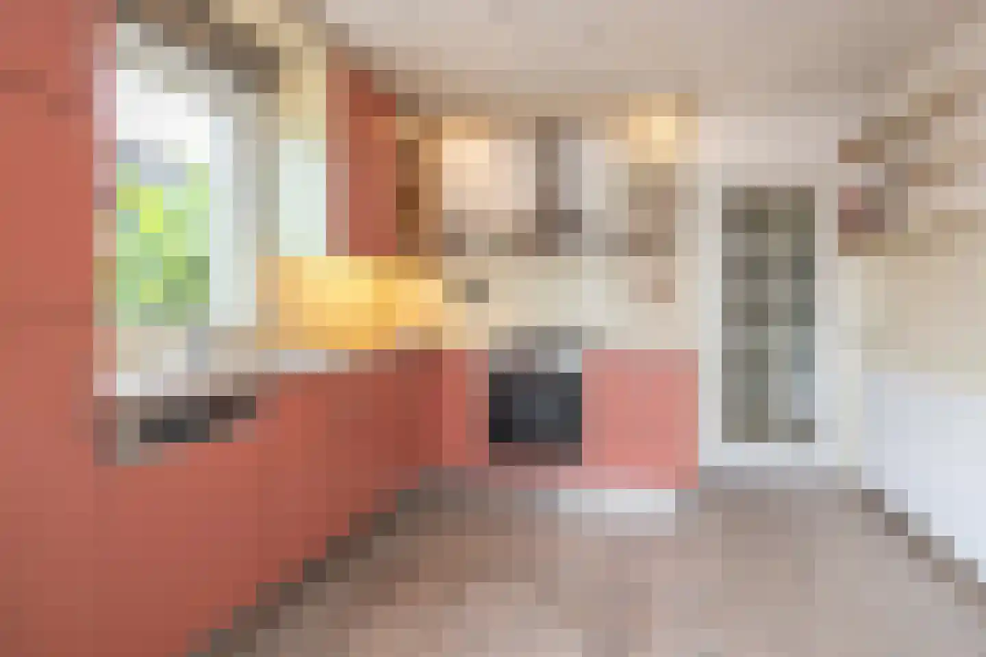Johannes Vermeerstraat 9 Oisterwijk thumbnail 17
