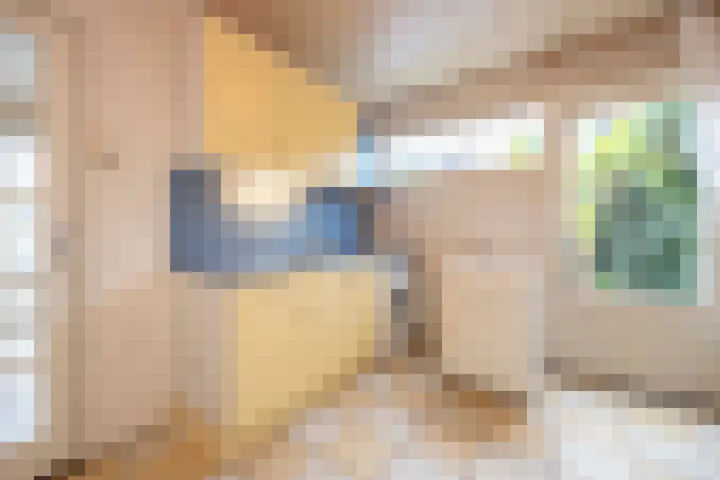Johannes Vermeerstraat 9 Oisterwijk thumbnail 18