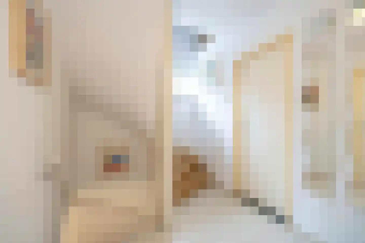 Johannes Vermeerstraat 9 Oisterwijk thumbnail 19