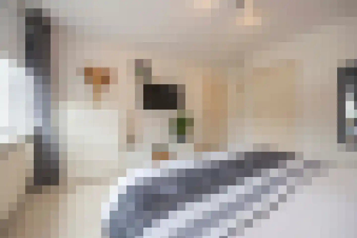 Johannes Vermeerstraat 9 Oisterwijk thumbnail 21
