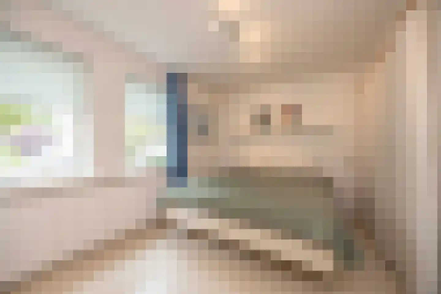 Johannes Vermeerstraat 9 Oisterwijk thumbnail 22