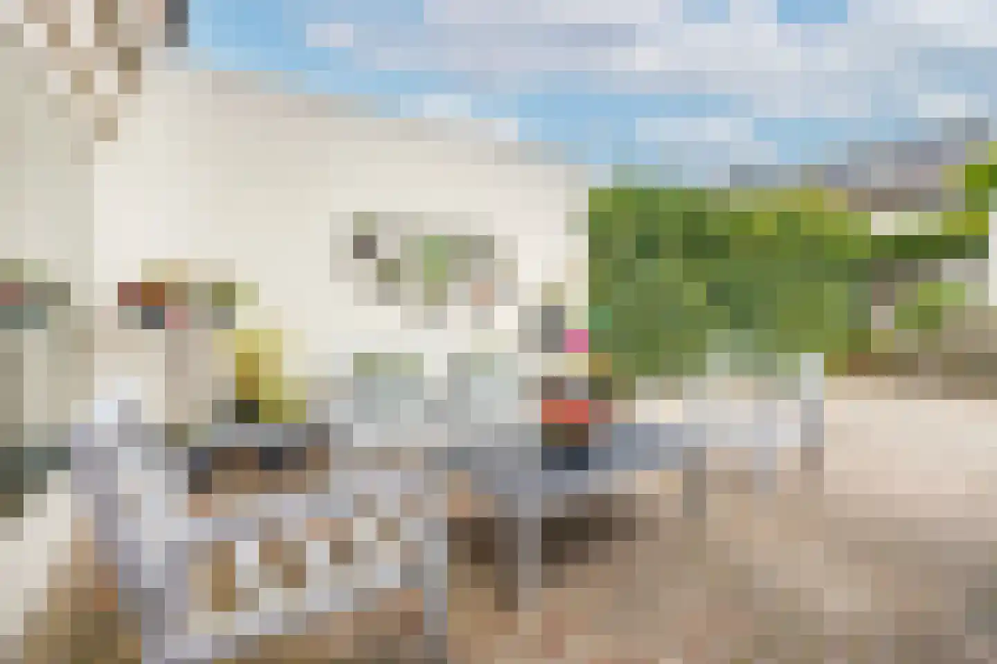 Johannes Vermeerstraat 9 Oisterwijk thumbnail 33