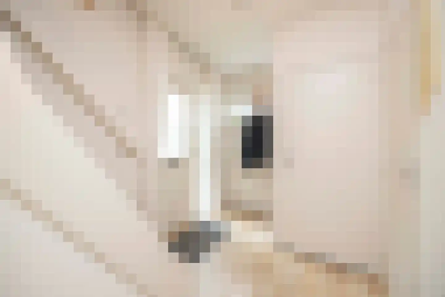 Johannes Vermeerstraat 9 Oisterwijk thumbnail 8