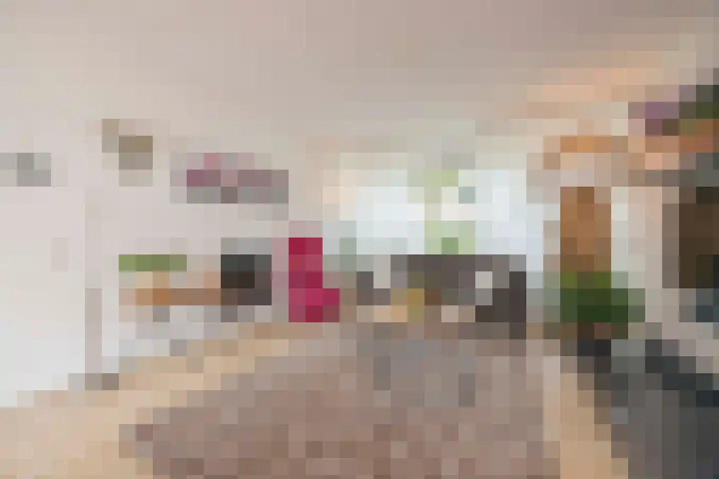 Johannes Vermeerstraat 9 Oisterwijk thumbnail 9