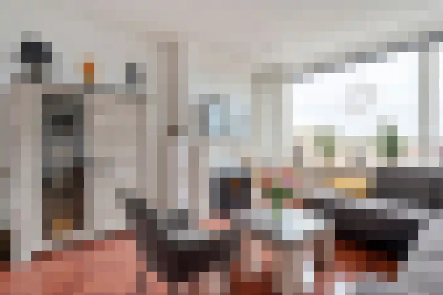 Johannes Vermeerstraat 97 Coevorden thumbnail 14