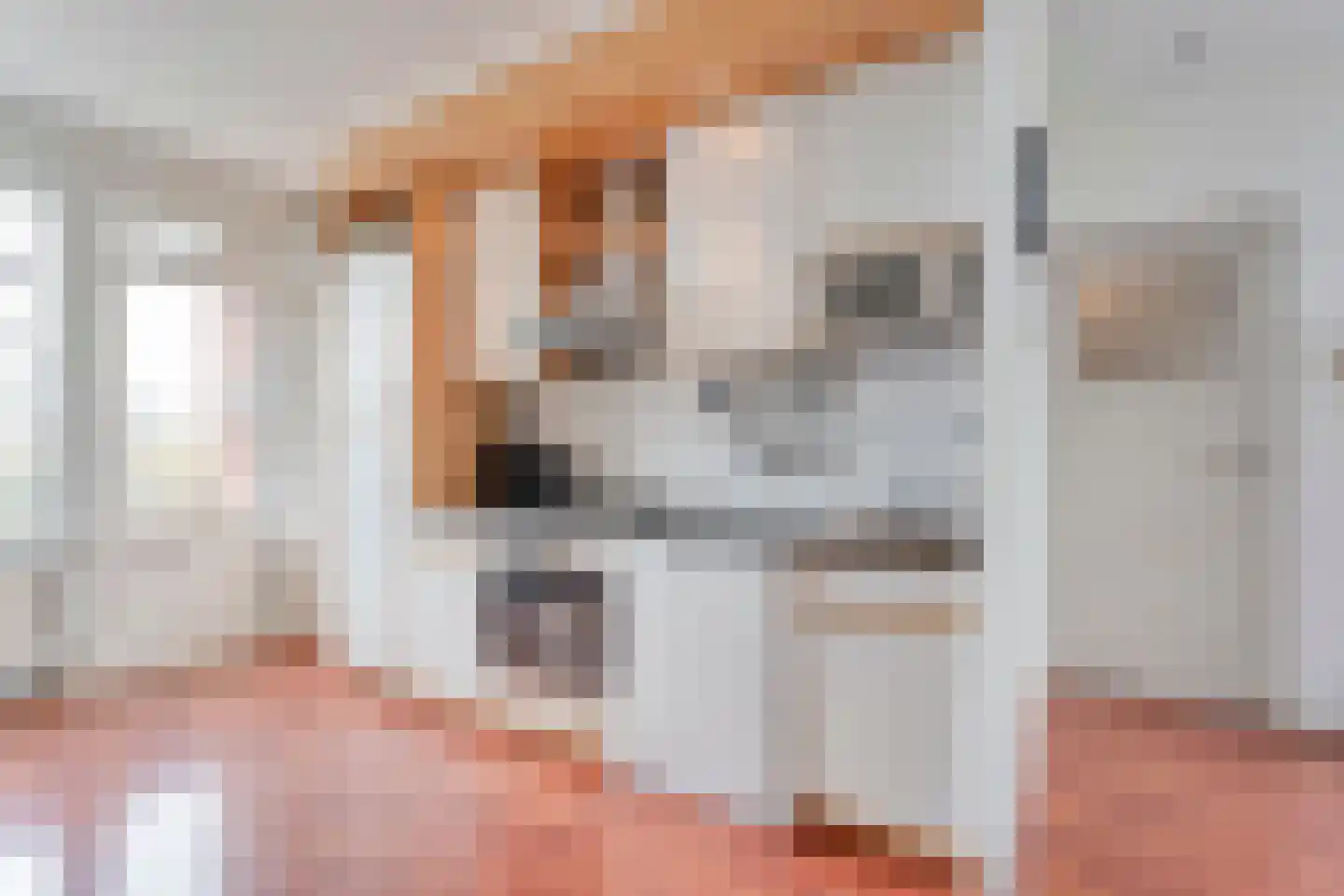Johannes Vermeerstraat 97 Coevorden thumbnail 16