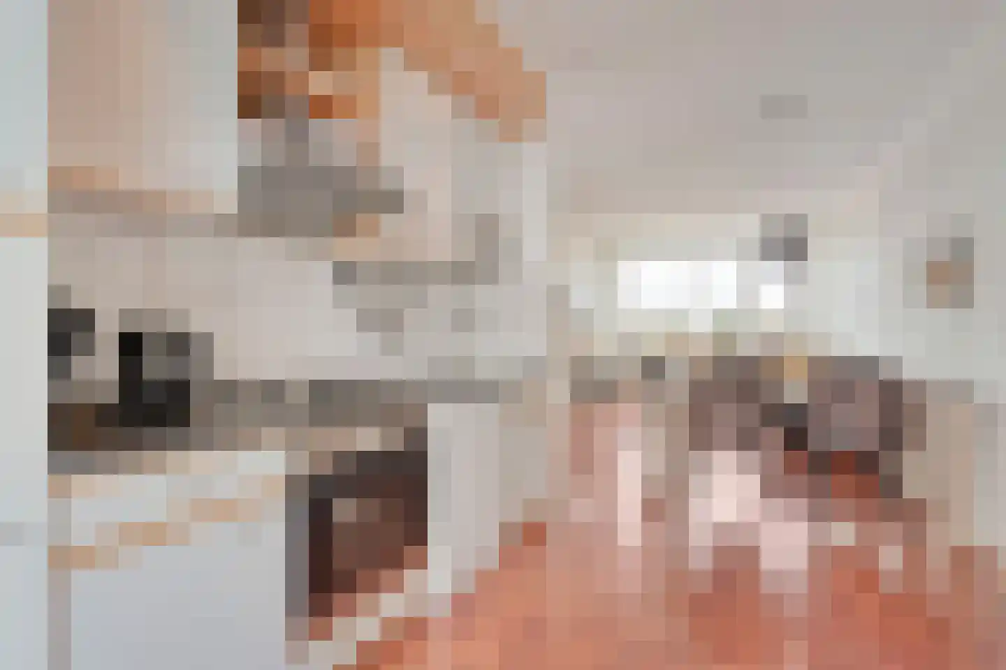 Johannes Vermeerstraat 97 Coevorden thumbnail 17