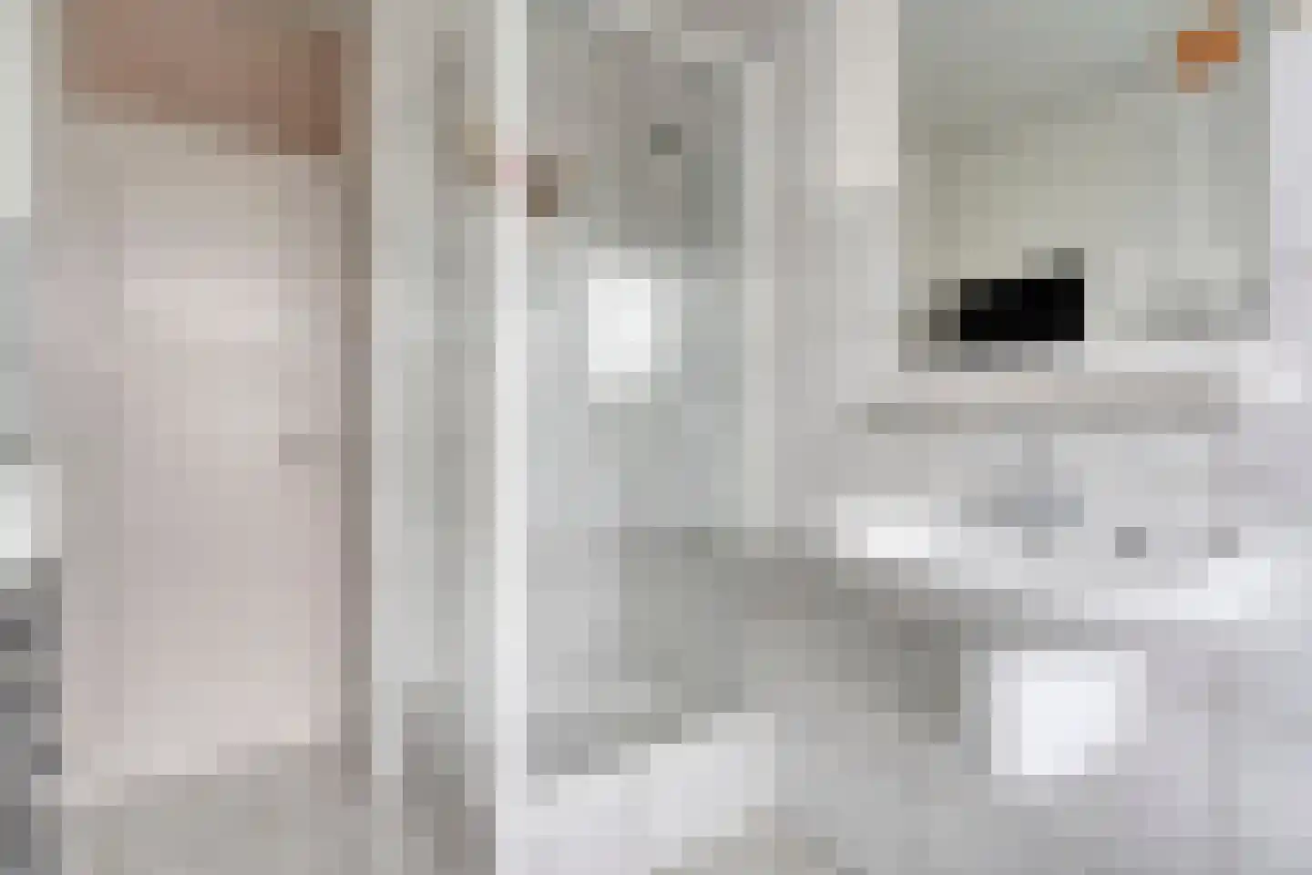 Johannes Vermeerstraat 97 Coevorden thumbnail 22