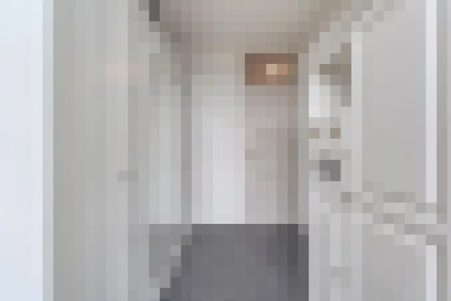 Johannes Vermeerstraat 97 Coevorden thumbnail 25