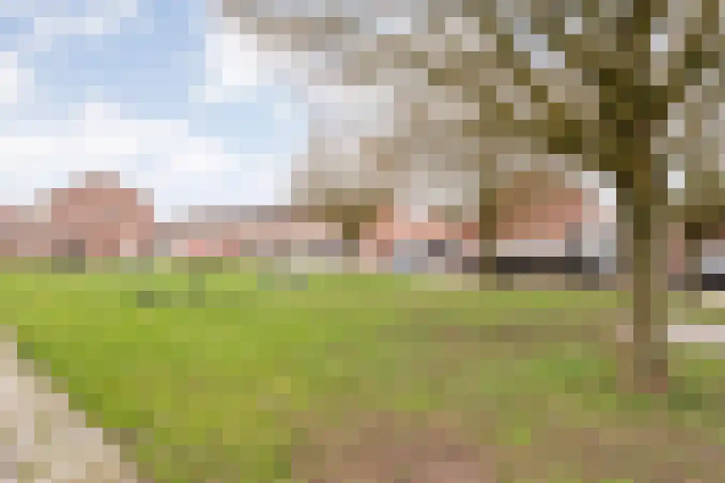Johannes Vermeerstraat 97 Coevorden thumbnail 31