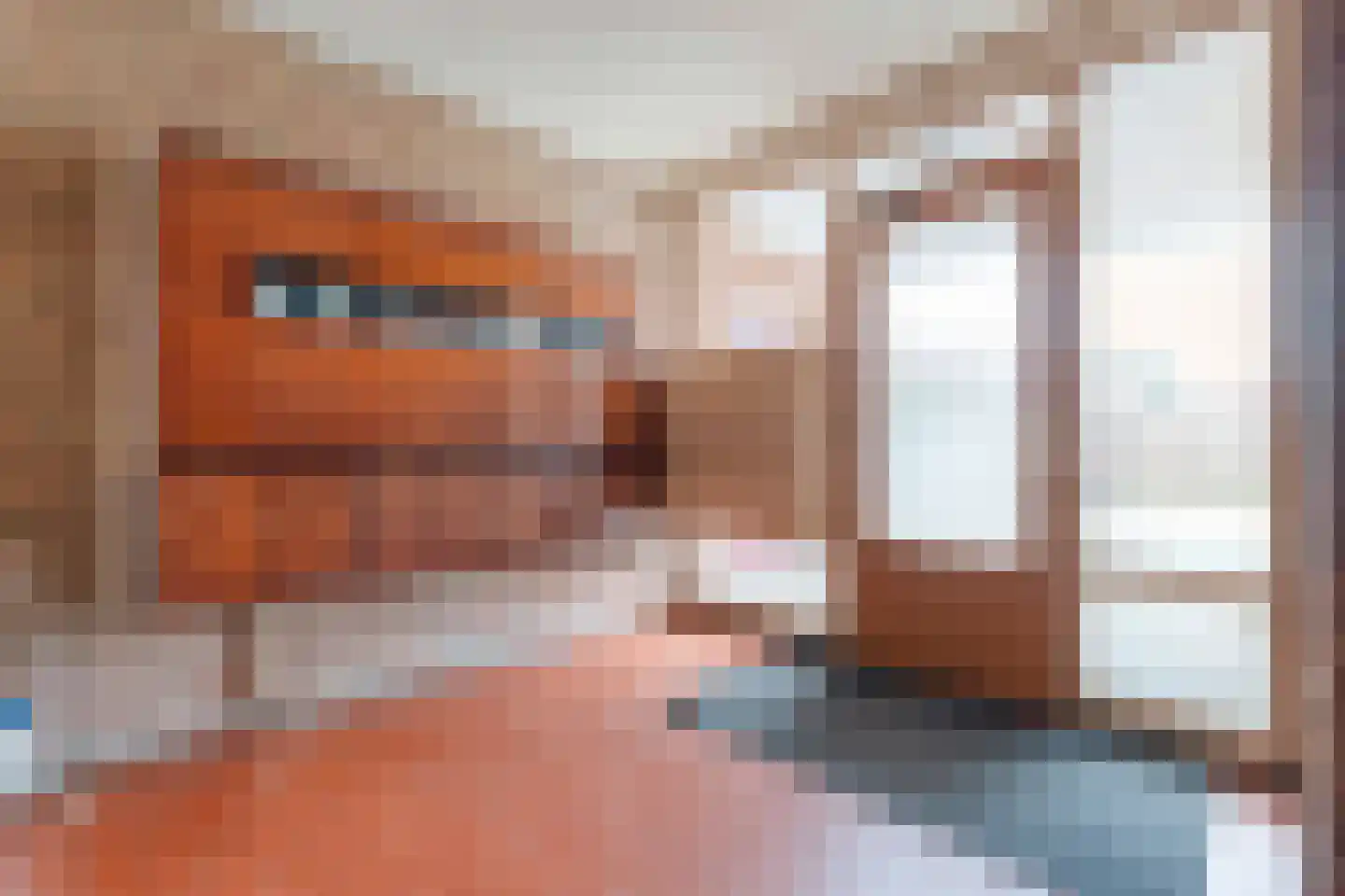 Johannes Vermeerstraat 97 Coevorden thumbnail 6