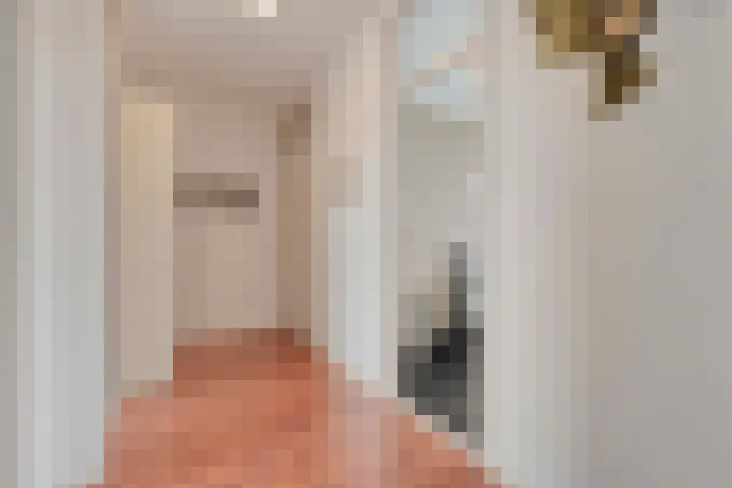 Johannes Vermeerstraat 97 Coevorden thumbnail 9