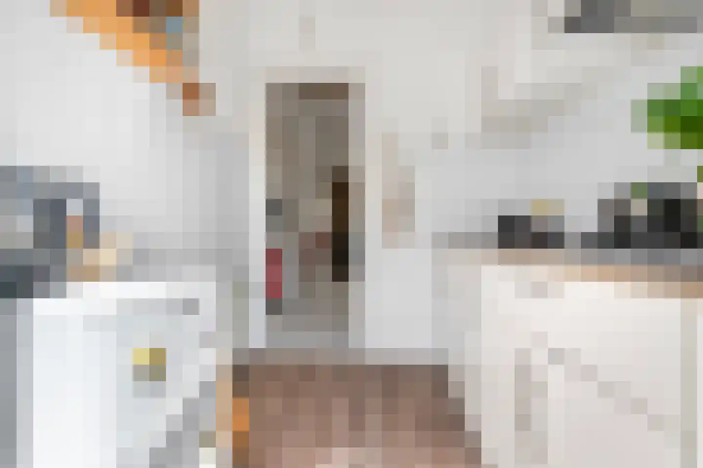 Johannes Vijghstraat 26 Nijmegen thumbnail 40