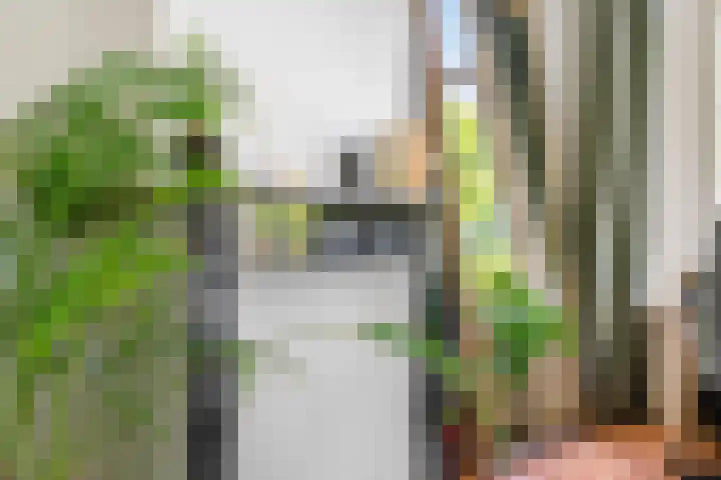 Johannes Vijghstraat 26 Nijmegen thumbnail 43