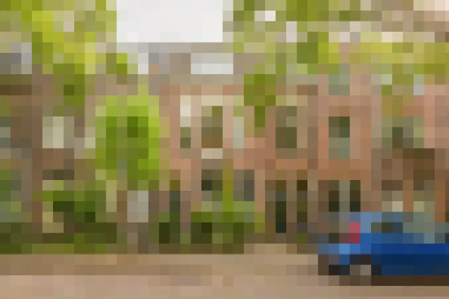 Johannes Vijghstraat 49 A in Nijmegen