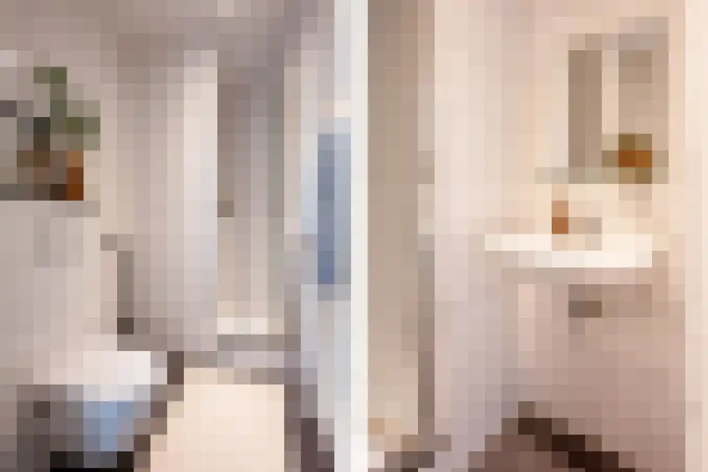 Johannes Vijghstraat 49 A Nijmegen thumbnail 18