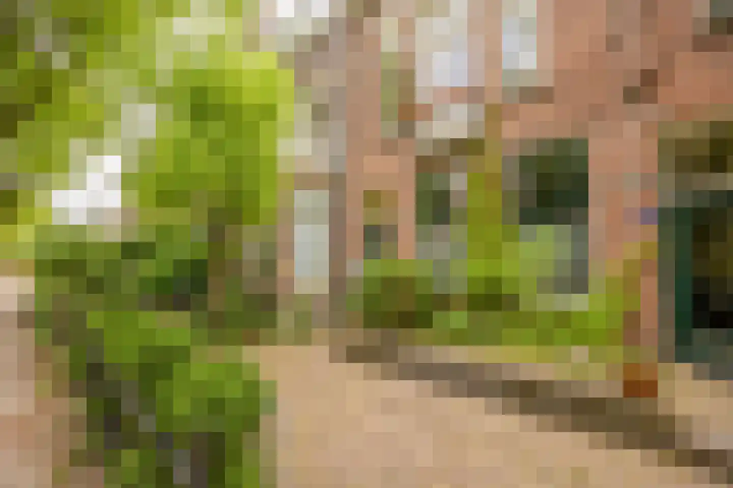 Johannes Vijghstraat 49 A Nijmegen thumbnail 20